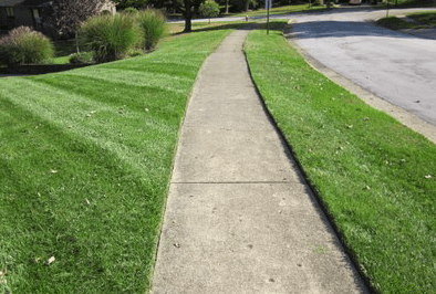 Cutting Edge Lawn and Landscape