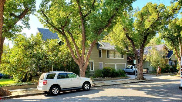 Laurie Strode Halloween House