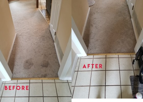 Stubborn stains are no match for our revolutionary cleaning method!