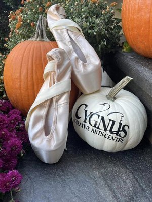 Cygnus is ready for Fall! Check out our new baby/toddler dance classes starting in November!