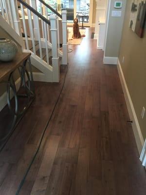 Engineered hardwood, three options for installation.
Glue down full spread
stapled down
tongue and groove floating flooring