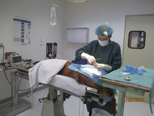 Surgery room procedure