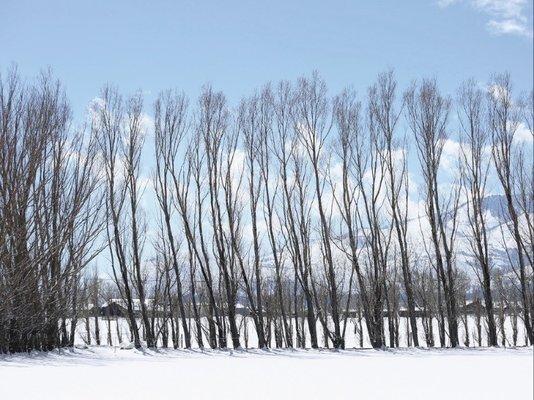 Franktown Meadows Equestrian Facility