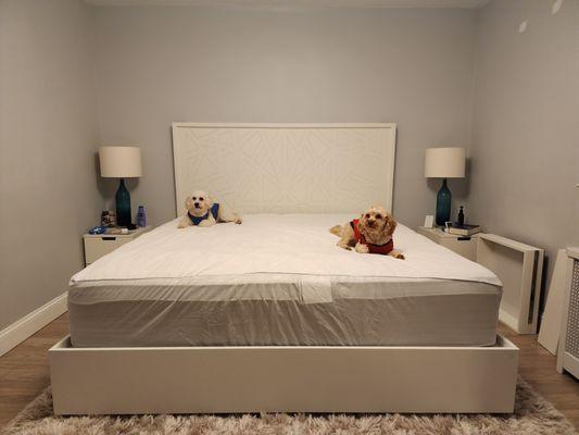 Bedframe with headboard.