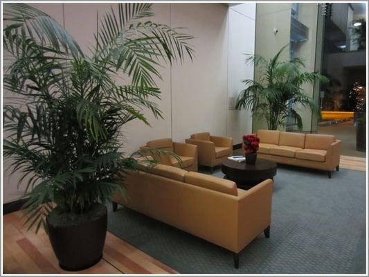 Pharmaceutical Coporate Lobby