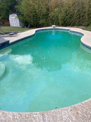 Bad yellow algae problem from neglect of pool service ((BEFORE))