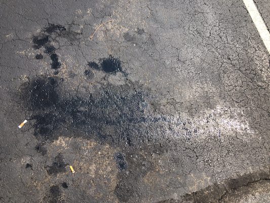 This lovely photo is how much oil was under my car today on my ten o'clock.