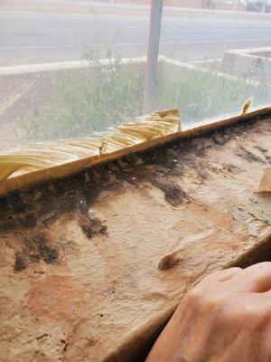 Window sill mold gathers standing water when it rains unit 26