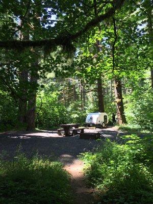 Ridge Retreat at our campsite in Alsea Falls SP