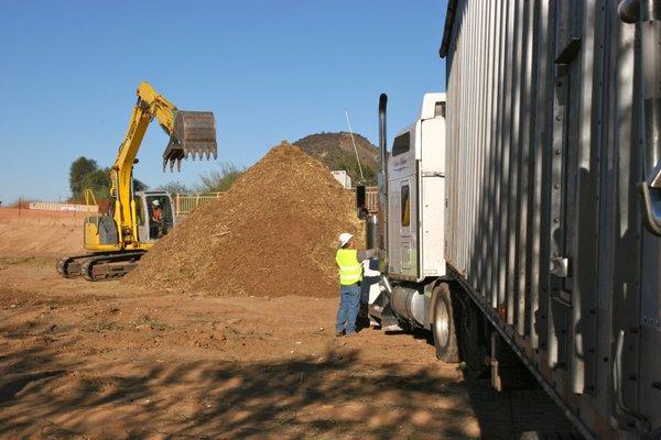 Pile of ground up Mulch to be recycled