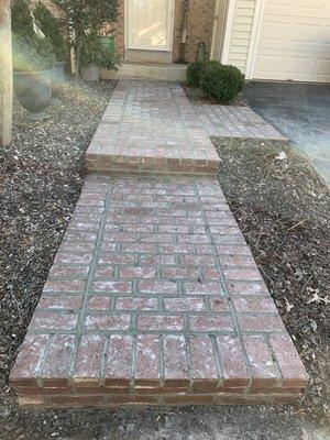 Re-used brick paver walkway