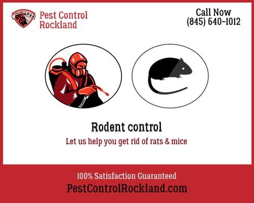 Rodent Control