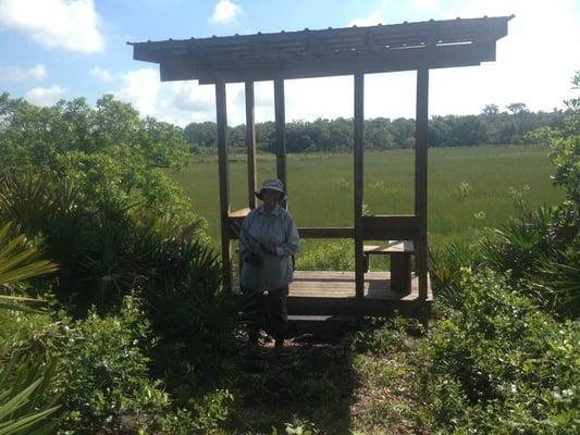 Dot, chief trail volunteer, at the overlook of Heron Pond