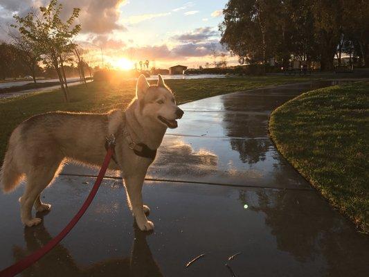 Merced Dog Park