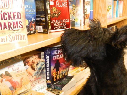 Helpful staff, like Darby here, will help you pick out just the right read!