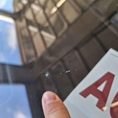 Auto Glass Concepts