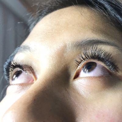 Natural Curve volume lashes