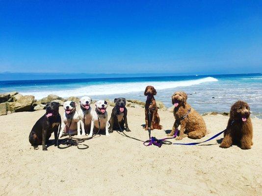 hanging at the beach