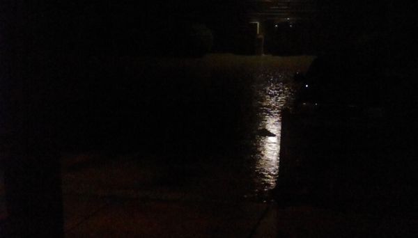 This apartment complex flood like crazy look at this lake after 2hours of rain