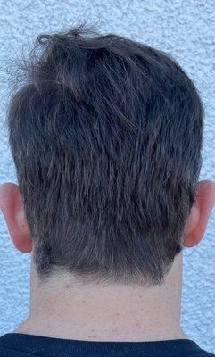 Great Clips level hair cut/neck line work with clearly no straight blade use. Photo speaks for itself.