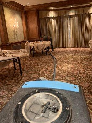 Professional carpet cleaning