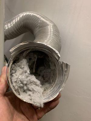 Dryer vent