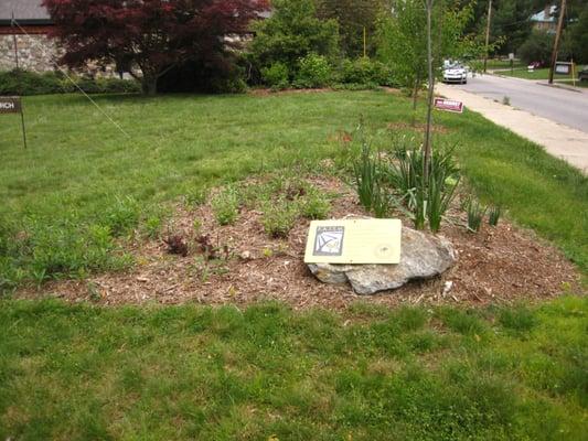 Native plant garden on front lawn