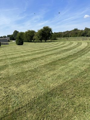 Red Line Mowing