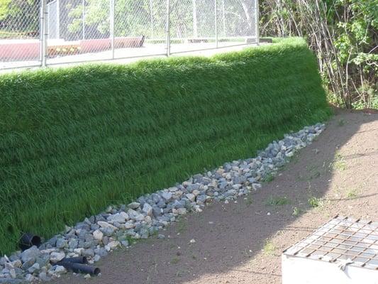 Living Walls and Green Roof Systems.