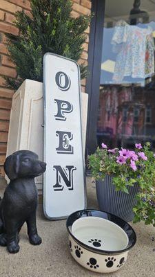 We put a welcoming bowl of fresh water out for our furry friends at La Boutique Unique