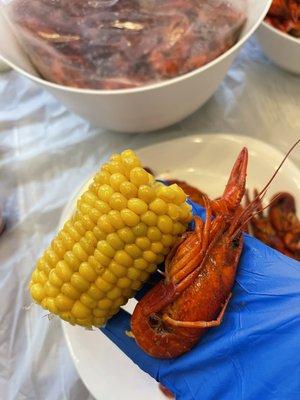 Live Boiled Crawfish