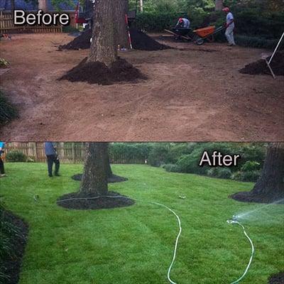 Our work before and after this lawn is mean green and weed free