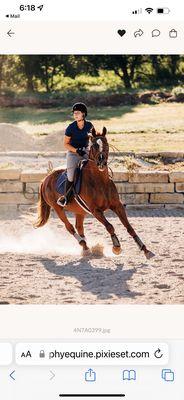 Joe Ammann Cutting Horses