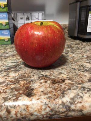 That's one huge honey crisp apple!