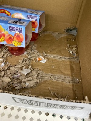 Mouse droppings on shelf