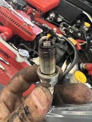 Spark plug change, plugs should not be wet. Turbo blew it's seals and leaky fuel injectors