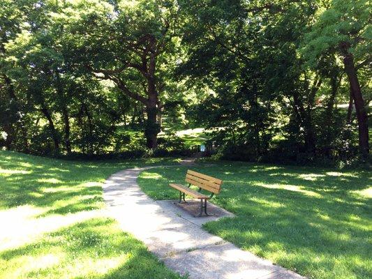 Wooded Trail with Bridges and Benches