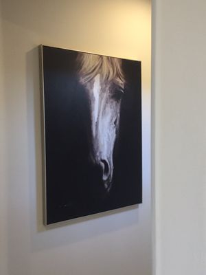 Portrait of a horse.  The interior design in all models is spectacular and very tastefully done.