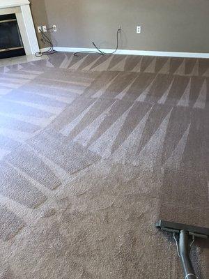 Carpet cleaning in Lexington, KY