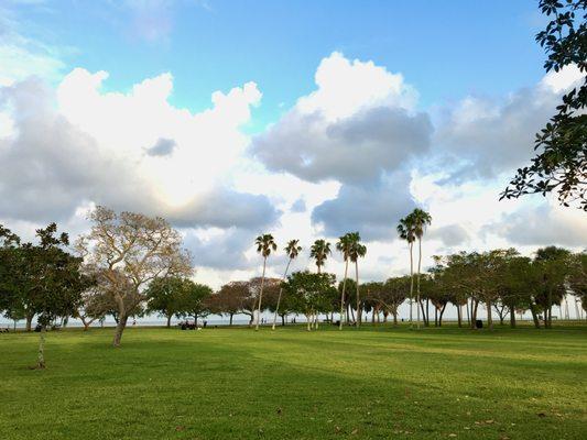 Acres of green space