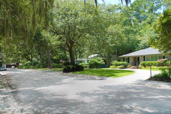 Typical Wide Tree-Lined Street in Historic Kensington Park!