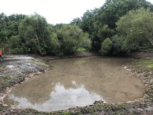 Aquatic Vegetation Removal (After)