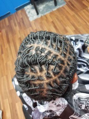 Starter locs