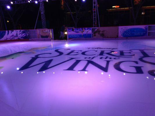 Downtown Disney Ice Rink -Secret of the Wings