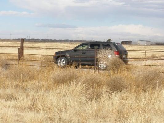 My jeep in Hagerman