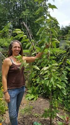 One of our local vendors Amy from Greenthoughts Garden. We sell her locally made soaps, oils, and more!