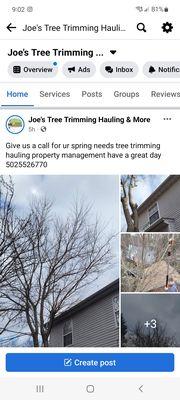 Joe's Tree Trimming Hauling & More