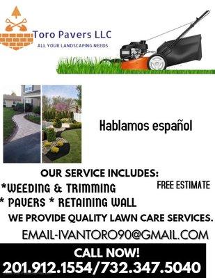 Toro Pavers