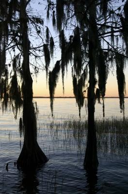 Florida Lakefront