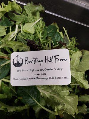 Fresh greens from Bootstrap Hill Farms are used in salad.